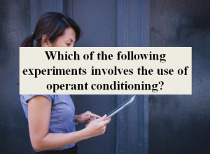 Which of the following experiments involves the use of operant conditioning?