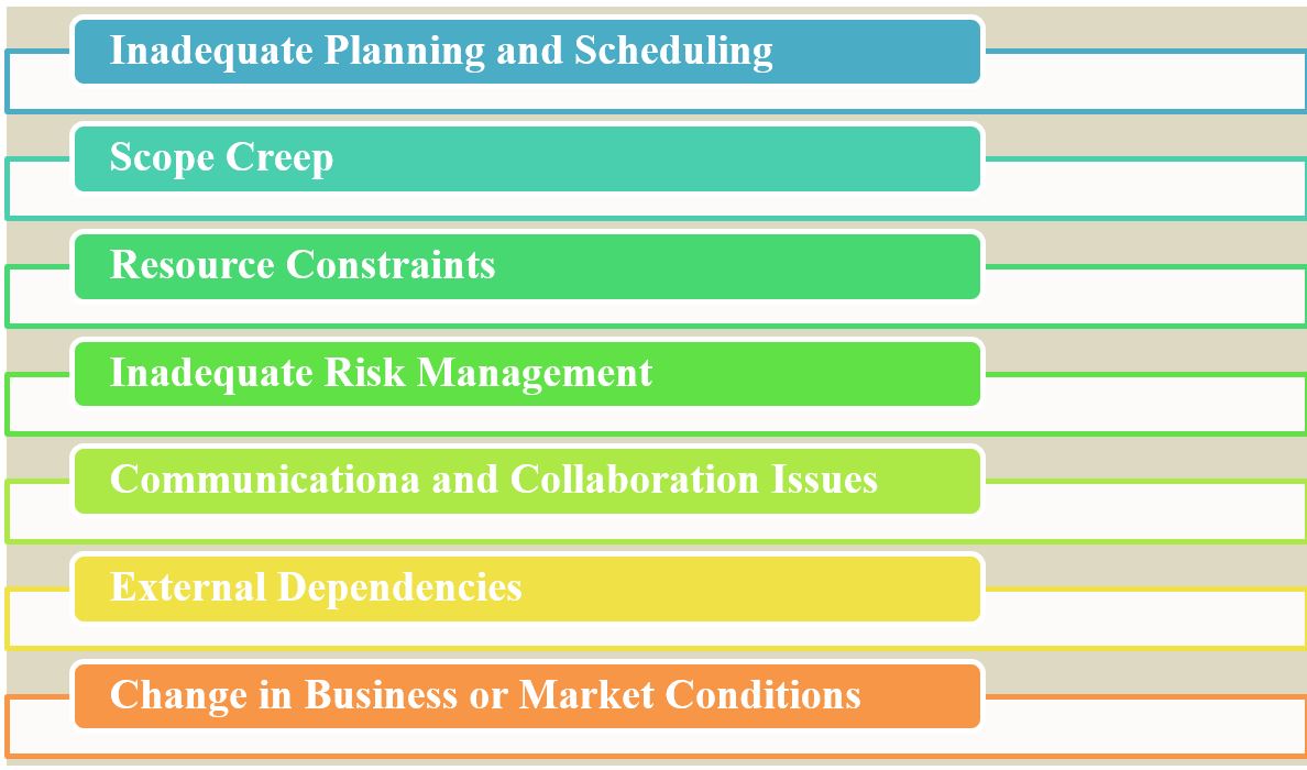 The Major Causes of Project Delays